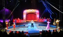 神奇的马戏表演