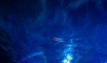 折翼的天使也可以飞翔