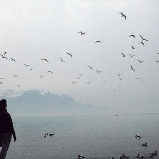 那些艰难的日子