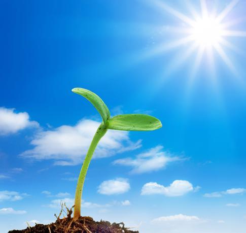 生命的时刻绽放