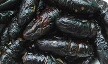 我钻进了蚂蚁洞穴