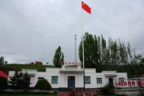 小白杨树在风雨中