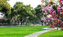 校园的景色_450字