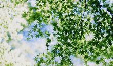 我努力读懂勤奋