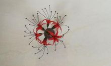 那一次，来不及再见