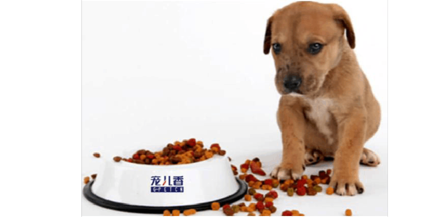 挑食者
