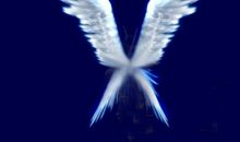 我那飞舞的时代