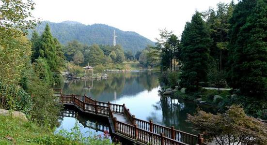 游览四明山森林公园