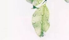 立夏绘蛋乐趣多