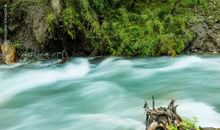 一条小溪的声音