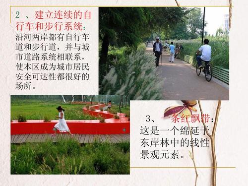 我爱家乡张岐公园