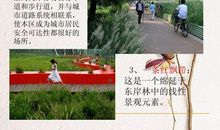 我爱家乡的掌起公园