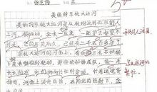 什么的你真美作文