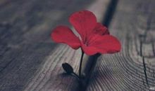 改变自我守住自我