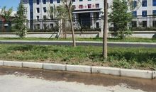 明天我将探访西北