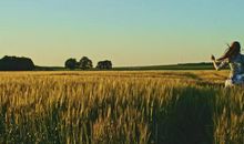 在金色的麦田里奔跑