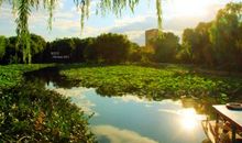 找寻那份儿时的记忆