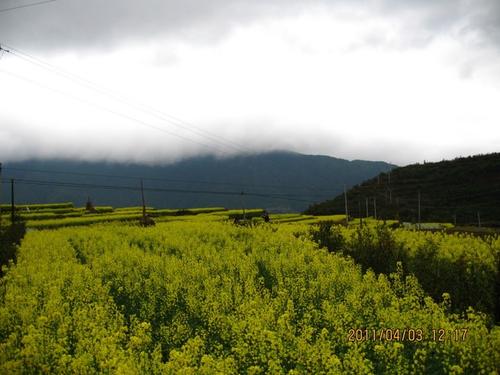 清明节之旅
