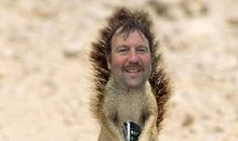 震撼我心灵的苹果