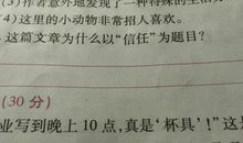 以信任为话题的作文