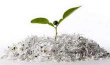 关于治理“白色污染”的建议书