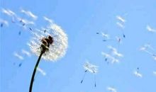 那一阵被风吹过的关爱