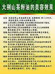 参观茶籽油工厂
