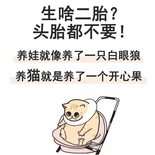 障碍物