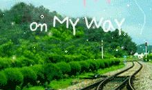 乐观让你的生活更添动力