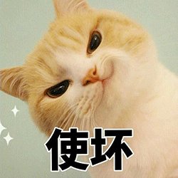 我是一只顽皮可爱的小猫