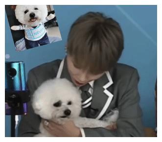 幼犬
