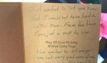 致豆豆狗狗的一封信