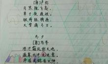 轻叩诗歌大门作文四年级