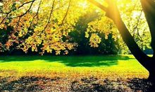 幸福校园让阳光住进心田