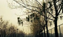 那些回忆，那些过往