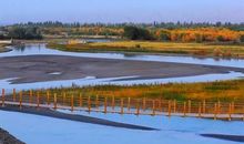 感受美丽的四季