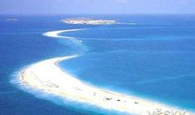 爱就在微波漾起处