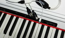 给沃尔特的一封信