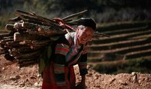 父母的一通电话