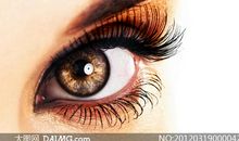 我用我的眼睛看美丽的四季