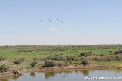 我们的天空不是口袋