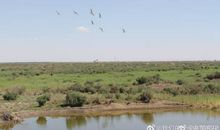 我们的天空不是口袋