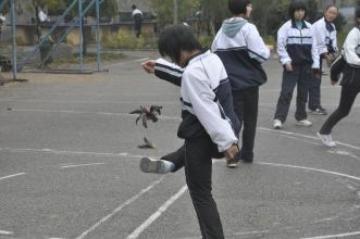 我们学校的阳光体育