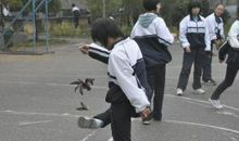 阳光体育在我校