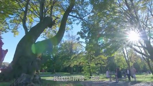 热情的妹妹