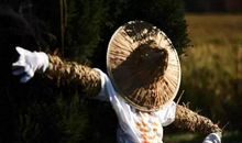 记我与妈妈的冻米糖制作经历