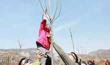 亲近时间，拥有未来