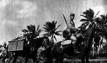 不能忘掉的老照片