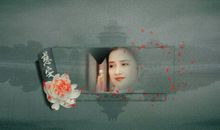 犹记惊鸿照影来