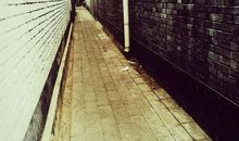 在路上有你真好